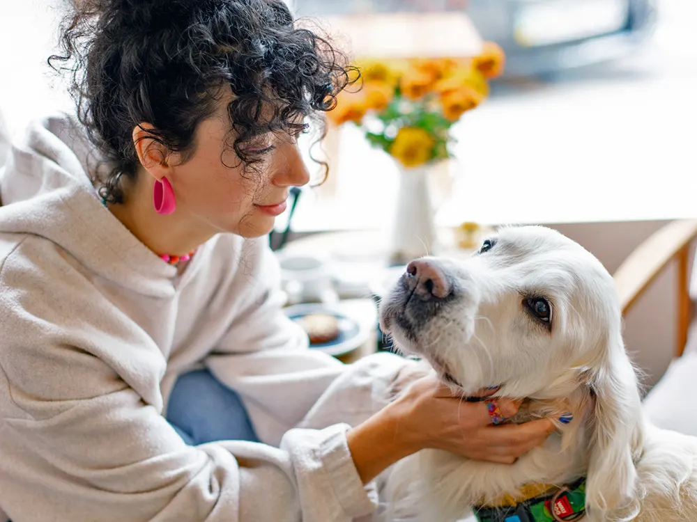 Best Grooming Pet Products for Dogs with Sensitive Skin