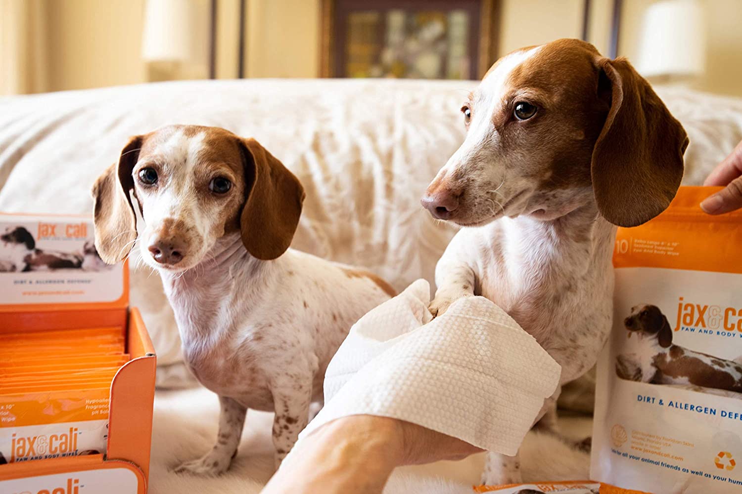 Pet Cleaning Wipes for Apartment Dwellers: Less Mess, Less Stress