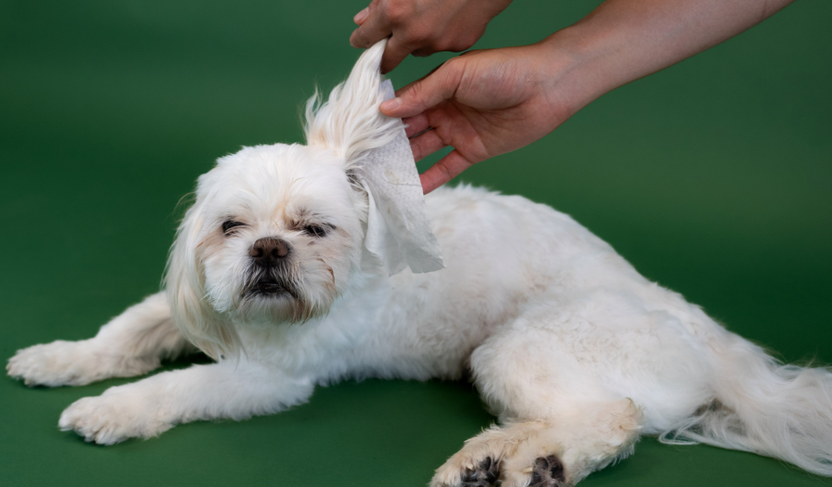 Best Pet Cleaning Wipes for Long-Haired Dog Breeds                      