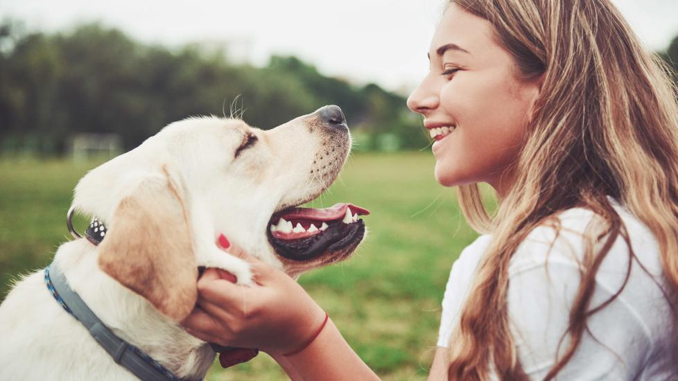 How to Store Dog Paw Wipes to Keep Them Fresh