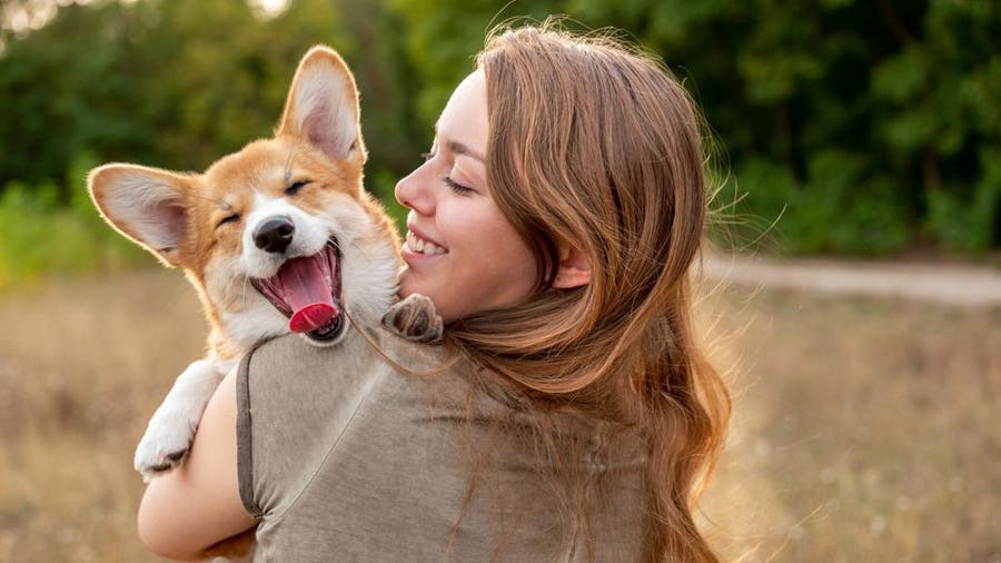 Scented vs. Unscented Pet Cleaning Wipes: Which Should You Choose?