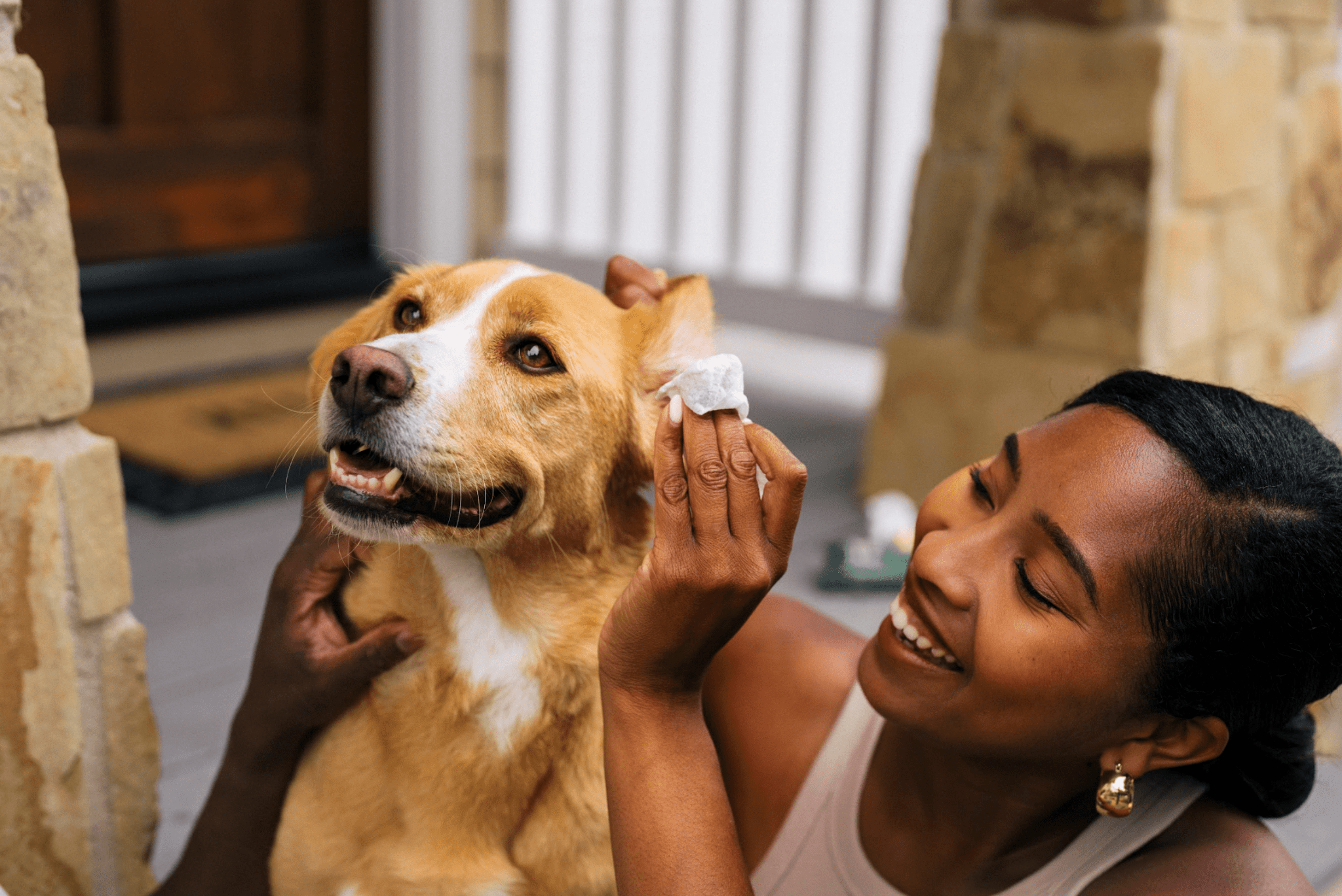 Hypoallergenic Pet Cleaning Wipes: What You Should Know